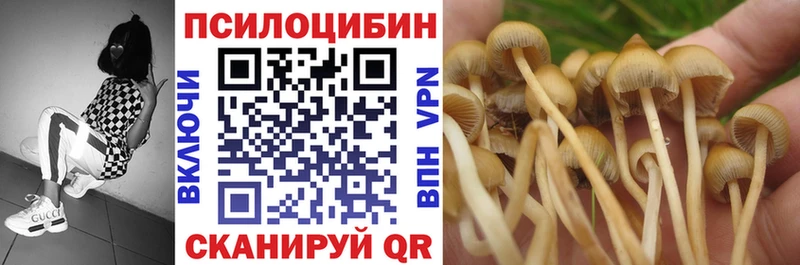 купить  цена  Углегорск  Псилоцибиновые грибы GOLDEN TEACHER 
